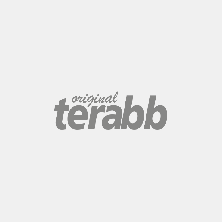 hoeveler terabb logo link bild